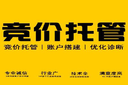 竞价推广代运营：成功案例解析