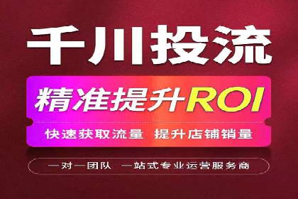 专业SEM服务托管方案案例分析